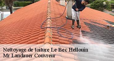 nettoyage-de-toiture-1