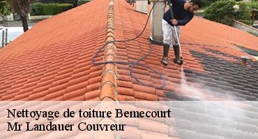 nettoyage-de-toiture-1