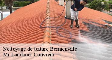 nettoyage-de-toiture-1