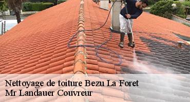 nettoyage-de-toiture-1