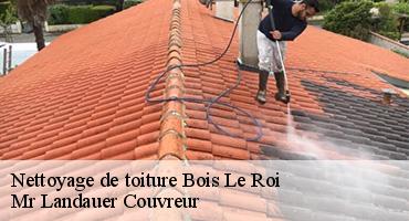 nettoyage-de-toiture-1