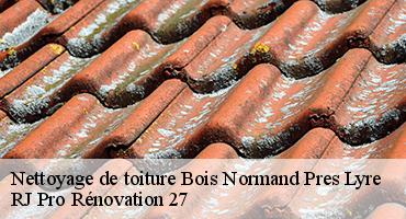 nettoyage-de-toiture-1