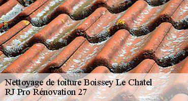 nettoyage-de-toiture-1