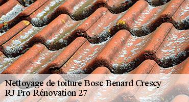 nettoyage-de-toiture-1