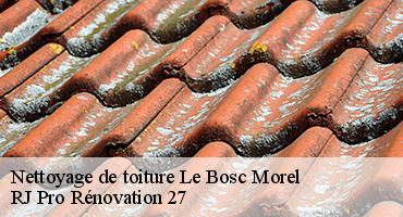 nettoyage-de-toiture-1