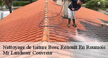 nettoyage-de-toiture-1