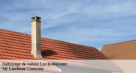 nettoyage-de-toiture-7