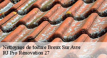 nettoyage-de-toiture-1