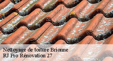 nettoyage-de-toiture-1