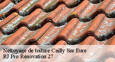 nettoyage-de-toiture-1
