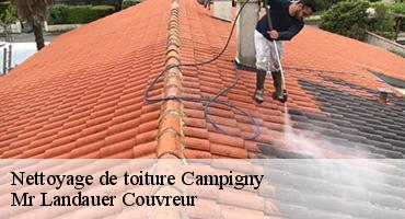 nettoyage-de-toiture-1