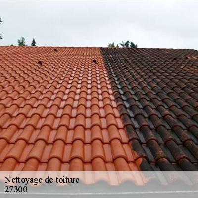 nettoyage-de-toiture-8