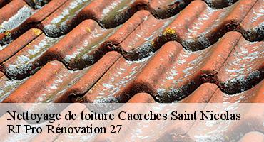 nettoyage-de-toiture-1