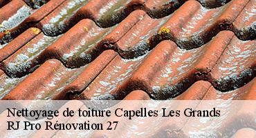nettoyage-de-toiture-1