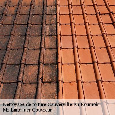 nettoyage-de-toiture-4