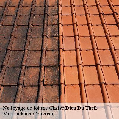 nettoyage-de-toiture-4