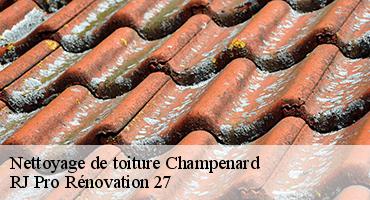 nettoyage-de-toiture-1