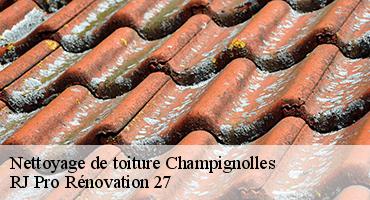 nettoyage-de-toiture-1