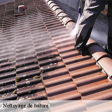 nettoyage-de-toiture-3