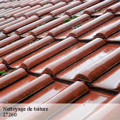 nettoyage-de-toiture-5