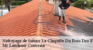 nettoyage-de-toiture-1