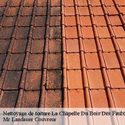 nettoyage-de-toiture-4