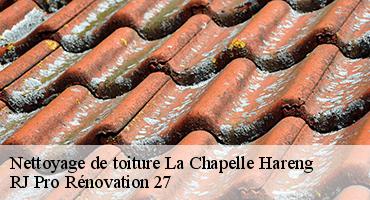 nettoyage-de-toiture-1