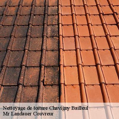 nettoyage-de-toiture-4