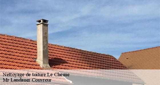 nettoyage-de-toiture-7