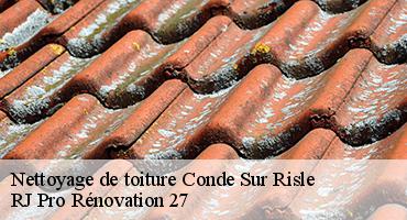 nettoyage-de-toiture-1