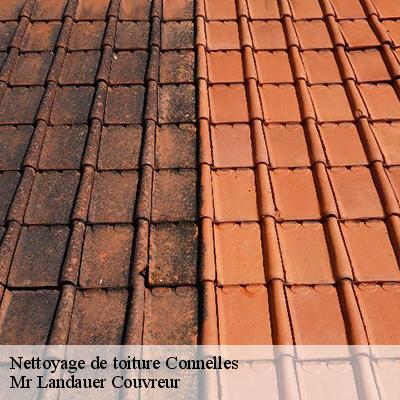 nettoyage-de-toiture-4