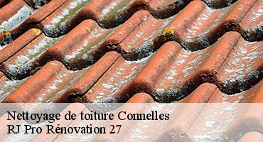 nettoyage-de-toiture-1