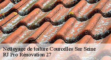 nettoyage-de-toiture-1