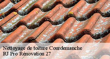 nettoyage-de-toiture-1