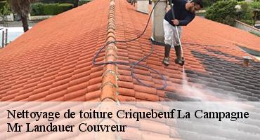 nettoyage-de-toiture-1