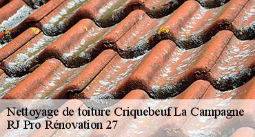 nettoyage-de-toiture-1