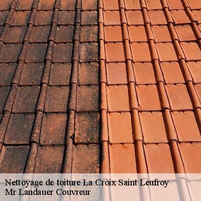 nettoyage-de-toiture-4