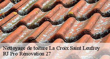 nettoyage-de-toiture-1