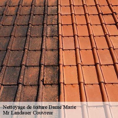 nettoyage-de-toiture-4