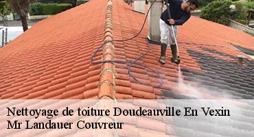 nettoyage-de-toiture-1