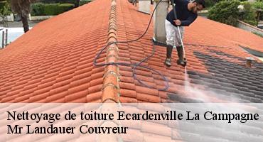 nettoyage-de-toiture-1