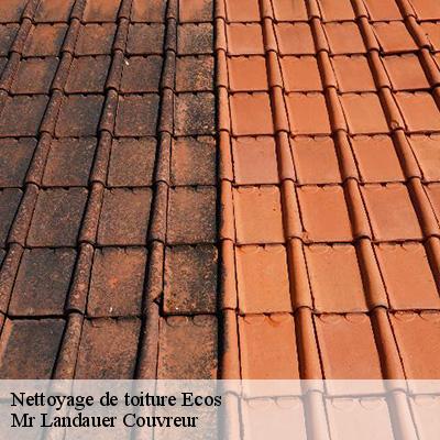 nettoyage-de-toiture-4