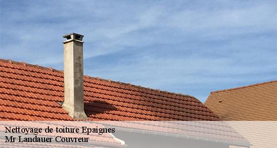 nettoyage-de-toiture-7