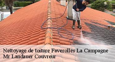 nettoyage-de-toiture-1