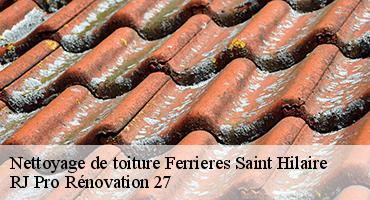 nettoyage-de-toiture-1