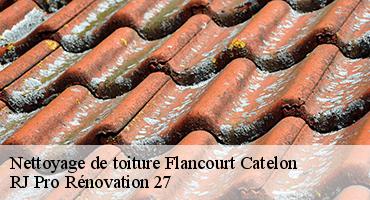 nettoyage-de-toiture-1