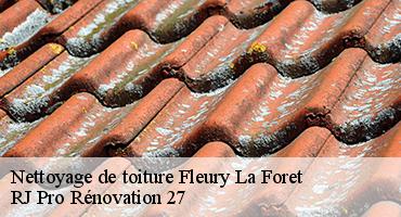 nettoyage-de-toiture-1