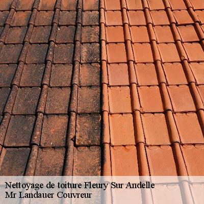 nettoyage-de-toiture-4