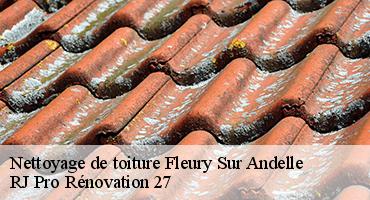 nettoyage-de-toiture-1