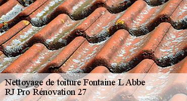 nettoyage-de-toiture-1